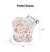 Removable Adult Teeth Study Dental Pathological Disease Implant Teaching Typodont Model - Dentist Standard