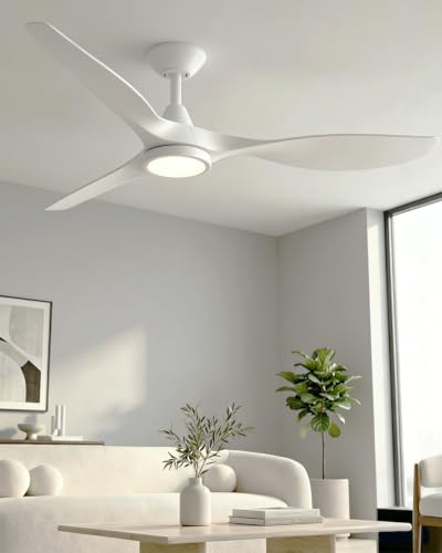 Roomratv 52 Inch Ceiling Fan