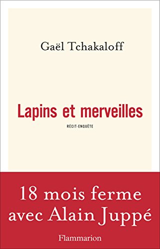Télécharger Lapins et Merveilles (French Edition)