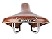 Brooks Saddles Team Professional Classic Bicycle Saddle with Tubular Rivets (Men's, Honey)
