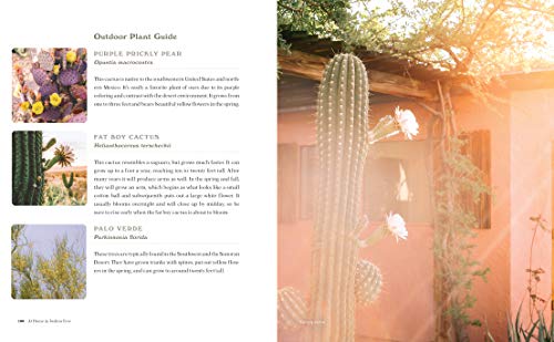At Home in Joshua Tree: A Field Guide to Desert Living - Thumbnail 4