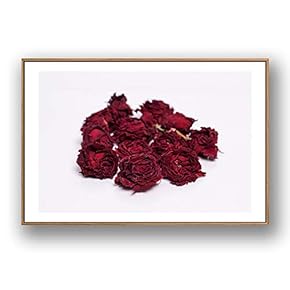 Framed Canvas Wall Art for Living Room, Bedroom Rose Flowers Canvas Prints for Modern Home Decoration Ready to Hang - 16"x24" inches