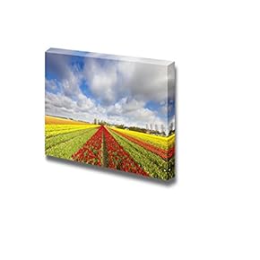 Canvas Prints Wall Art - Tulips in a Field in Holland in Summer | Modern Wall Decor/Home Decoration Stretched Gallery Canvas Wrap Giclee Print. Ready to Hang - 12" x 18"