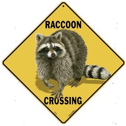 CROSSWALKS Raccoon Crossing 12" X 12" Aluminum Sign (X426)