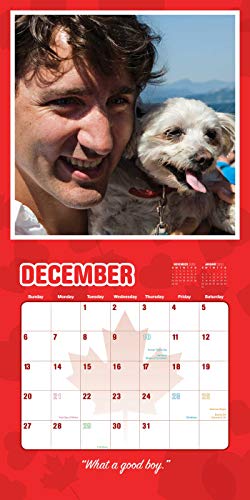 Justin Trudeau, My Canadian Boyfriend 2020 Wall Calendar - Thumbnail 3