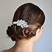 EVER FAITH Bridal Accessories for Women, Orchid Leaf Simulated Pearl Wedding Hair Comb for Bride, Bridesmaids Clear Austrian Crystal Silver-Tone