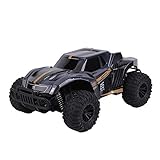 FLYZOE Remote Control Car 1: 16 Scale Buggy Vehicle 2.4Ghz RC Car Radio Controlled High Speed Off Road Racing Car