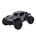 FLYZOE Remote Control Car 1: 16 Scale Buggy Vehicle 2.4Ghz RC Car Radio Controlled High Speed Off Road Racing Car