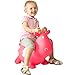 NDN LINE Bouncy Animal, Bouncy Horse Inflatable with Pump