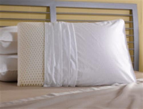 Amazon Com Sealy Spring Free Latex Pillow Standard Home Kitchen