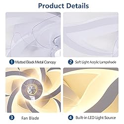 Dalouguan Flush Mount Ceiling Fan with