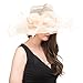 Saferin Lady Tea party Kentucky Derby Church Wedding Dress Church Hat Bridal Shower (SF4-Beige) Free size