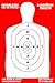 ArmaLaser LaserGlow Targets High Visibility Daytime Nighttime 18 x 12 inch Silhouette Pack of 3