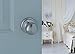 Copper Creek BK2090PS Ball Door Knob, Dummy Function, 1 Pack, in Polished Stainless