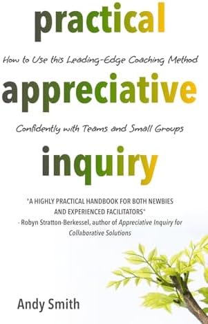 Amazon.com: Appreciative Inquiry: A Positive Revolution in Change