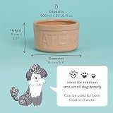 Mason Cash Cane Water Bowl 15cm Large Stoneware Pet Bowl 900ml Capacity view 4
