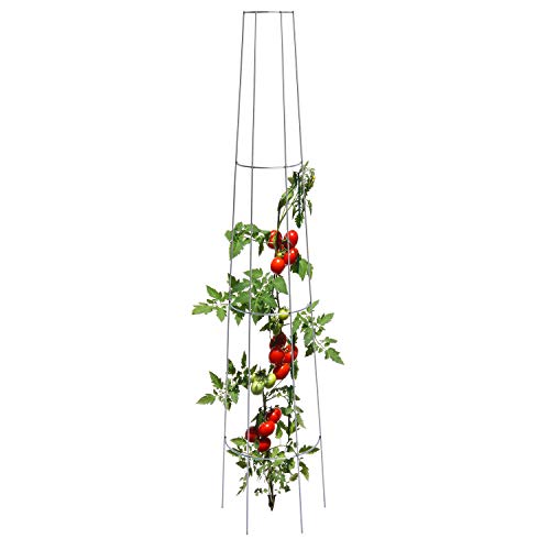 bellissa 3 Stück Tomaten-Rankgitter rund 175 cm - Tomaten-Stangen und Spiral-Stäbe für das Ranken im Garten – Bild 3