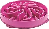 Slow Feeder Dog Bowl Fun Feeder Stop Bloat Bowl for Dogs by Outward Hound, Large, Purple (Misc.)