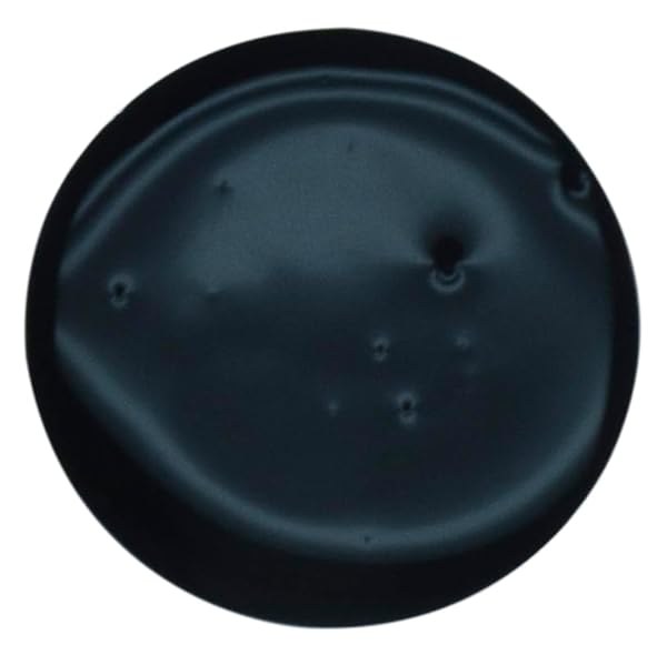 SAX TRUE COLOR CONCENTRATED WASHABLE LIQUID WATERCOLOR – 8 OUNCES – BLACK