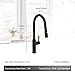 AguaStella AS81MB Matte Black Kitchen Sink Faucet with Pull Down Sprayer Single Handle High Arc