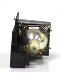 Libertad marca lámpara de repuesto para OPTOMA BL FS300B incluidos Vivienda y genéricos marca nueva lámpara de Philips