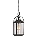 Westinghouse Lighting 6339400 Grandview One-Light Outdoor Pendant, Oil Rubbed Bronze Finish with Highlights and Clear Seeded Glass , Oil-rubbed Bronze