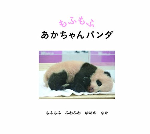 もふもふ あかちゃんパンダ 講談社の幼児えほん 神戸 万知 神戸 万知 本 通販 Amazon