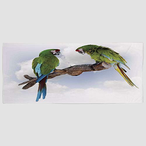 iPrint Cotton Microfiber Hand Towel [ Parrots Decor,Two Parrot Macaw on a Branch Talking Birds Gifted Clever Creatures of The Nature,Green White Brown ] for Hotel SPA Beach Pool Bath