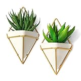 California Home Goods Modern Hanging Planter Pots (2-Pack), Small Decorative Wall Planters for Cactus Decor & Hanging Plants, Wall Hanging Ceramic Planter with Brass Wire Frame, White Plant Decor