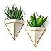 California Home Goods Modern Hanging Planter Pots (2-Pack), Small Decorative Wall Planters for Cactus Decor & Hanging Plants, Wall Hanging Ceramic Planter with Brass Wire Frame, White Plant Decor