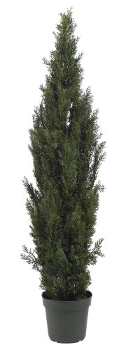 Nearly Natural 5292 Mini Cedar Pine Tree, 6-Feet, Green