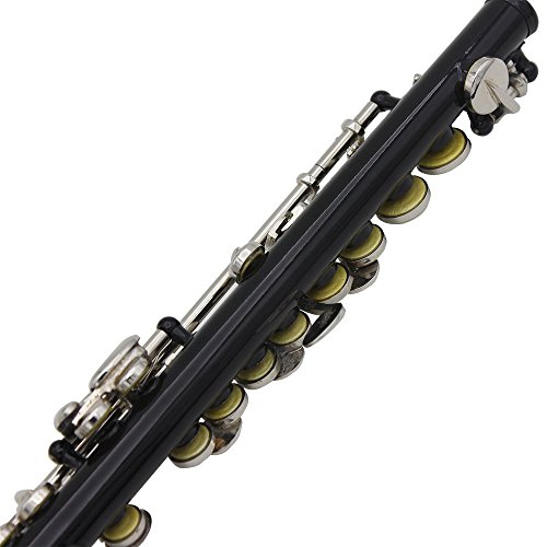 Andoer Piccolo Ottavino Half-size Flute Silver Plated C Key Cupronickel with Cleaning Cloth Screwdriver Padded Box (Black)