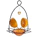 FORUP Oriole Bird Feeder, Orange Fruit Oriole Feeder