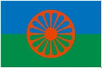 Toppa patch da stirare stampata bandiera bandiera sinti roma roma