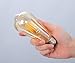 ZYCYLIGHT Led Edison Bulbs,Dimmable 8w Led Bulbs, ST64(ST21) Vintage Edison Antique LED Light Bulbs, 750 Lumens, 2700K Warm White, E26 Led Light Bulbs, Amber Glass Cover,6 Pack
