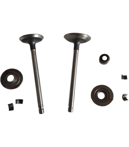 Valvola di aspirazione motore BRIGGS&STRATTON 2204, 2207, 2214, 2224, 2264, 2504