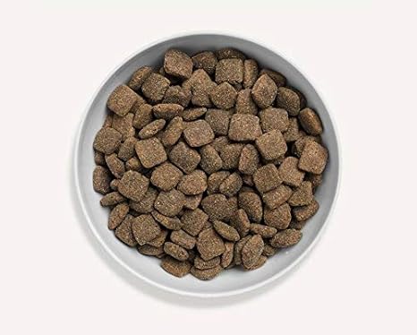 canagan dog food amazon