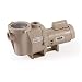 Pentair 011515 WhisperFlo High Performance Energy Efficient Single Speed Full Rated Pool Pump, 2 Horsepower, 208-230 Volt, 1 Phase