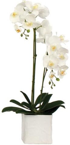 White Silk Phalaenopsis Orchid Pot