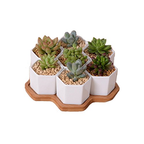 Ceramic Flower Pot,Y&M(TM) Pack of 7 White Simple Design Sucuulent Plant Pot/Cactus Plant Pot Flower Pot with Bamboo Tray/Container/Planterï¼ˆPack of 7 ï¼‰