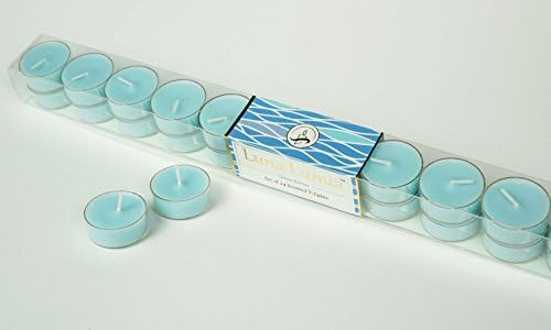 Set of 24 Quality T-Lights Scented - Clear Cups - 1.5" Perfect For Holidays, Weddings, Christmas, Gifts (Blue)