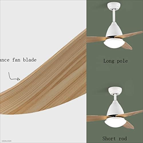 Fan Light Remote Control Mute Ceiling Fan Light Modern Minimalist