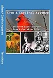 When A Cardinal Appears: Selected Short Stories From A Christian Life by Terry Hare
