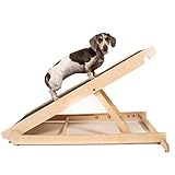 USA Made Adjustable Pet Ramp for All Dogs and Cats