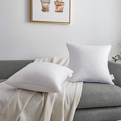 Moma 16 X 16 Pillow Inserts Set Of 2 Throw Pillow Inserts With