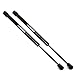Beneges 2 Sets Front Hood Lift Supports Struts Gas Charged Springs for Ford Expedition 1997-2002, Ford F-150/ F-150 XLT 1997-2004, Ford F-250/F-250 XLT 1997-1999