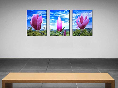 Wall Art Canvas Painting Purple Magnolia Flowers on The Branch Print Picture Modern Home Decor Painting for Living Room（12x16inch x3pcs）
