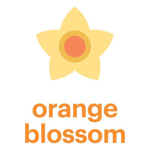 Babyganics Baby Bubble Bath, Orange Blossom, 12oz Bottle, (Pack of 2) - Thumbnail 4