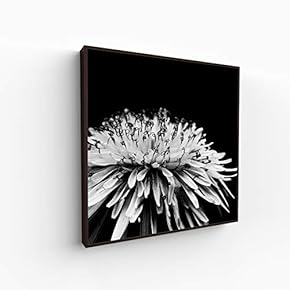 Canvas Wall Art for Living Room, Bedroom Monochrome Image Framed Canvas Prints for Home Decoration Ready to Hang - 16x16 inches