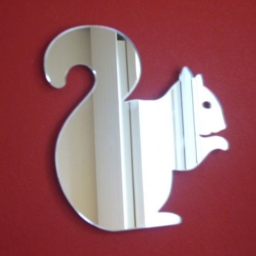 Squirrel Mirror - 40cm x 38cm